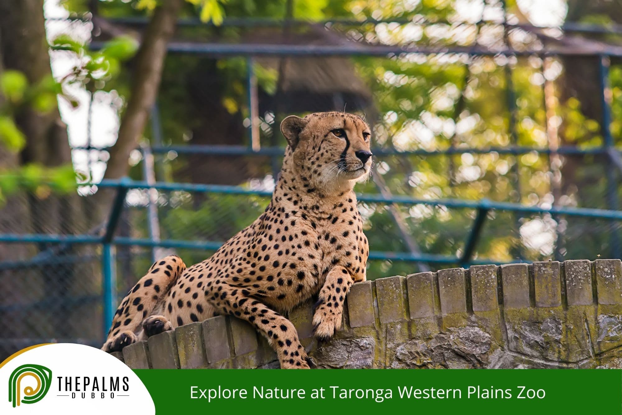 Explore Nature at Taronga Western Plains Zoo