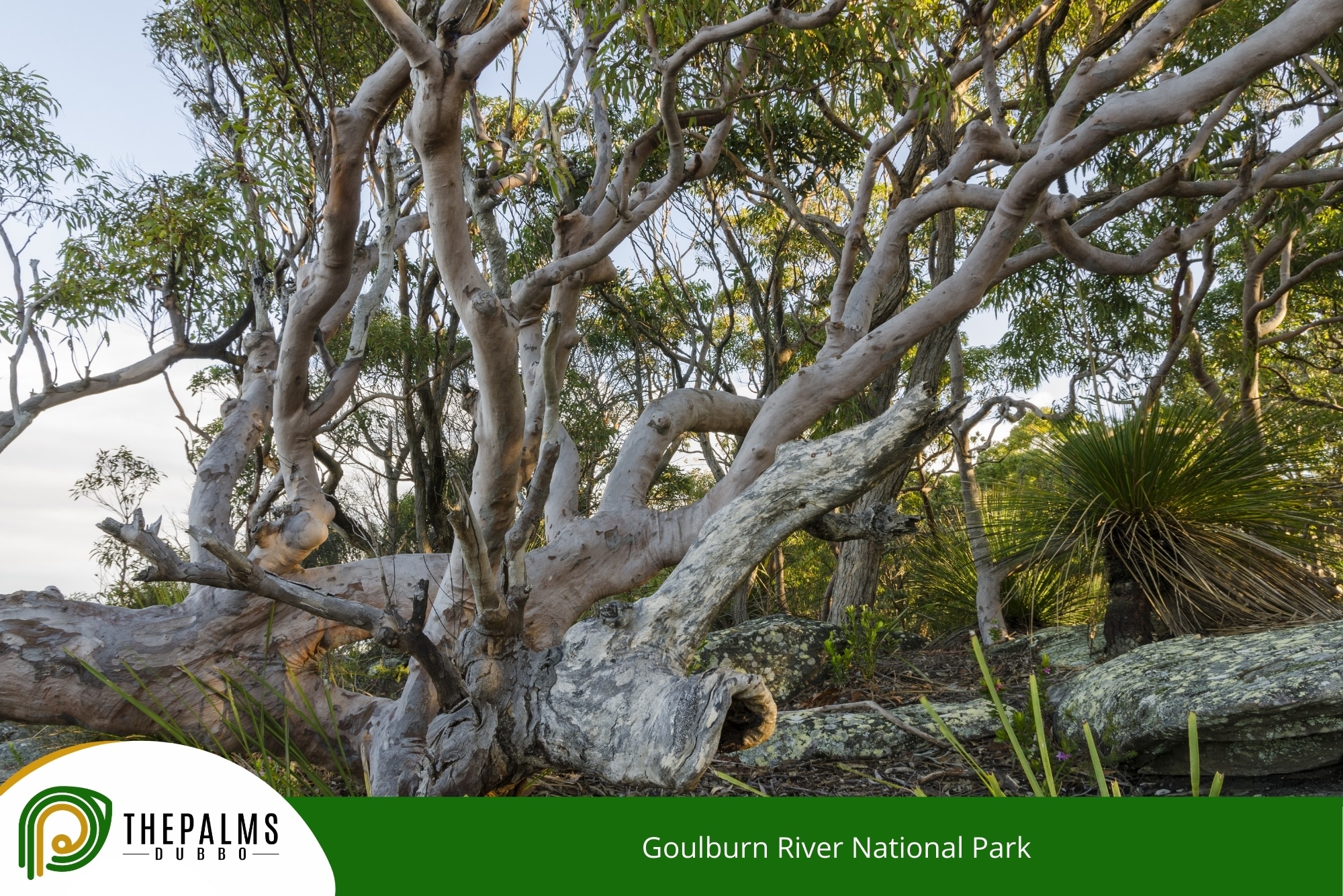 Goulburn River National Park
