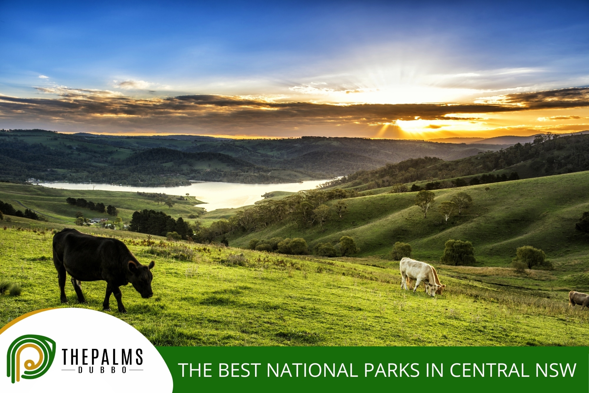 Blog - blog,The Palms Motel Dubbo,Motel Dubbo The Best National Parks in Central NSW