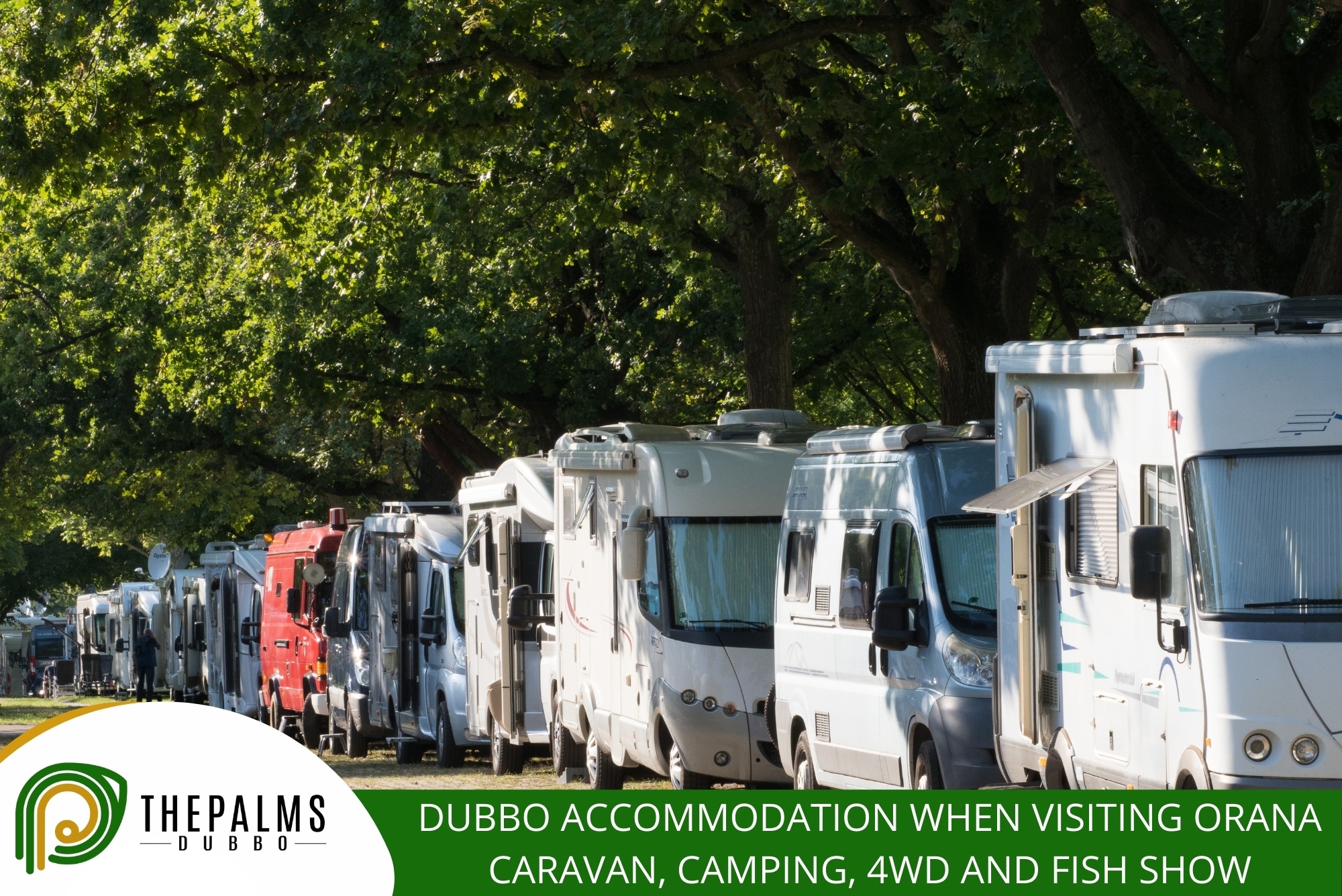 Blog - blog,The Palms Motel Dubbo,Motel Dubbo Dubbo Accommodation When Visiting Orana Caravan, Camping, 4WD And Fish Show