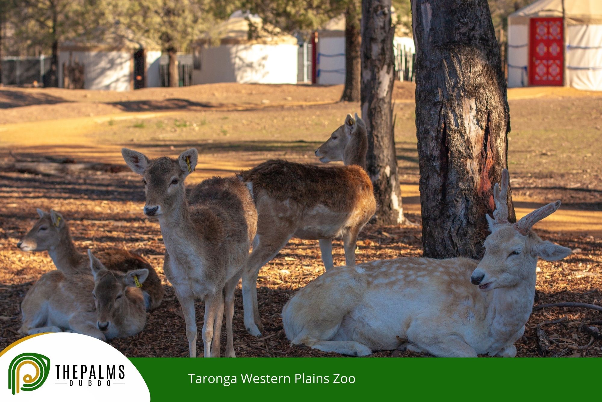 Taronga Western Plains Zoo