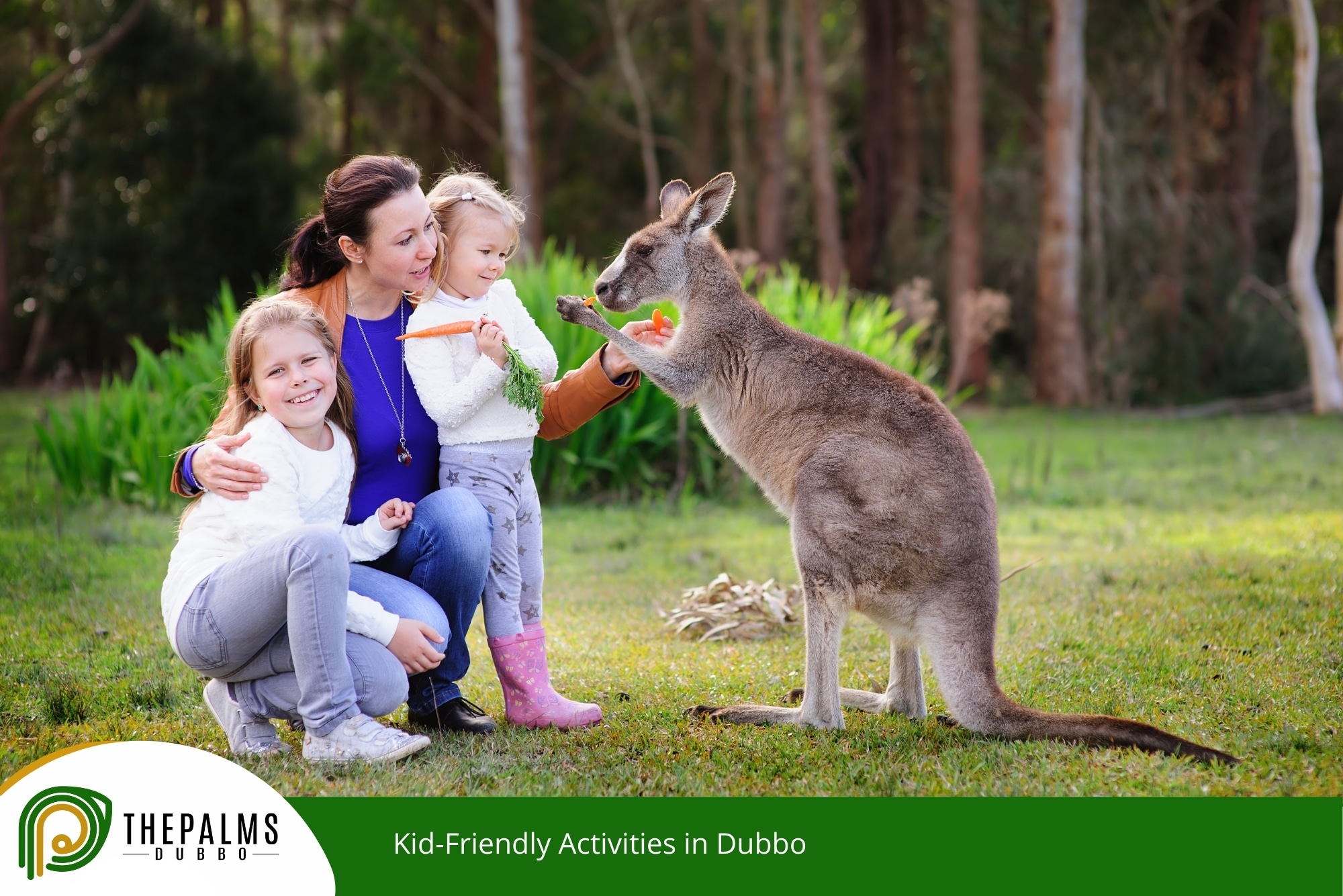 Kid-Friendly Activities in Dubbo