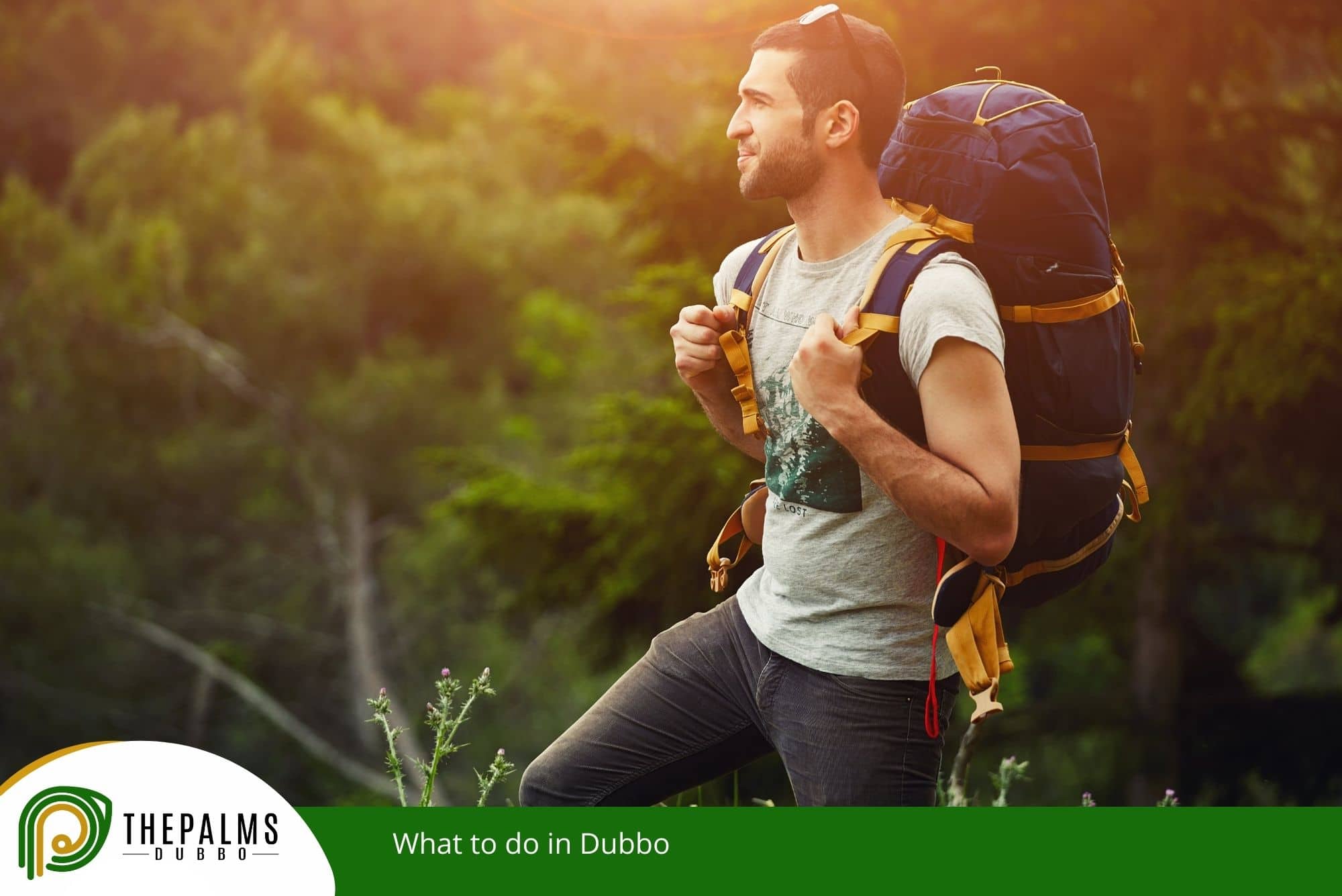 What to do in Dubbo