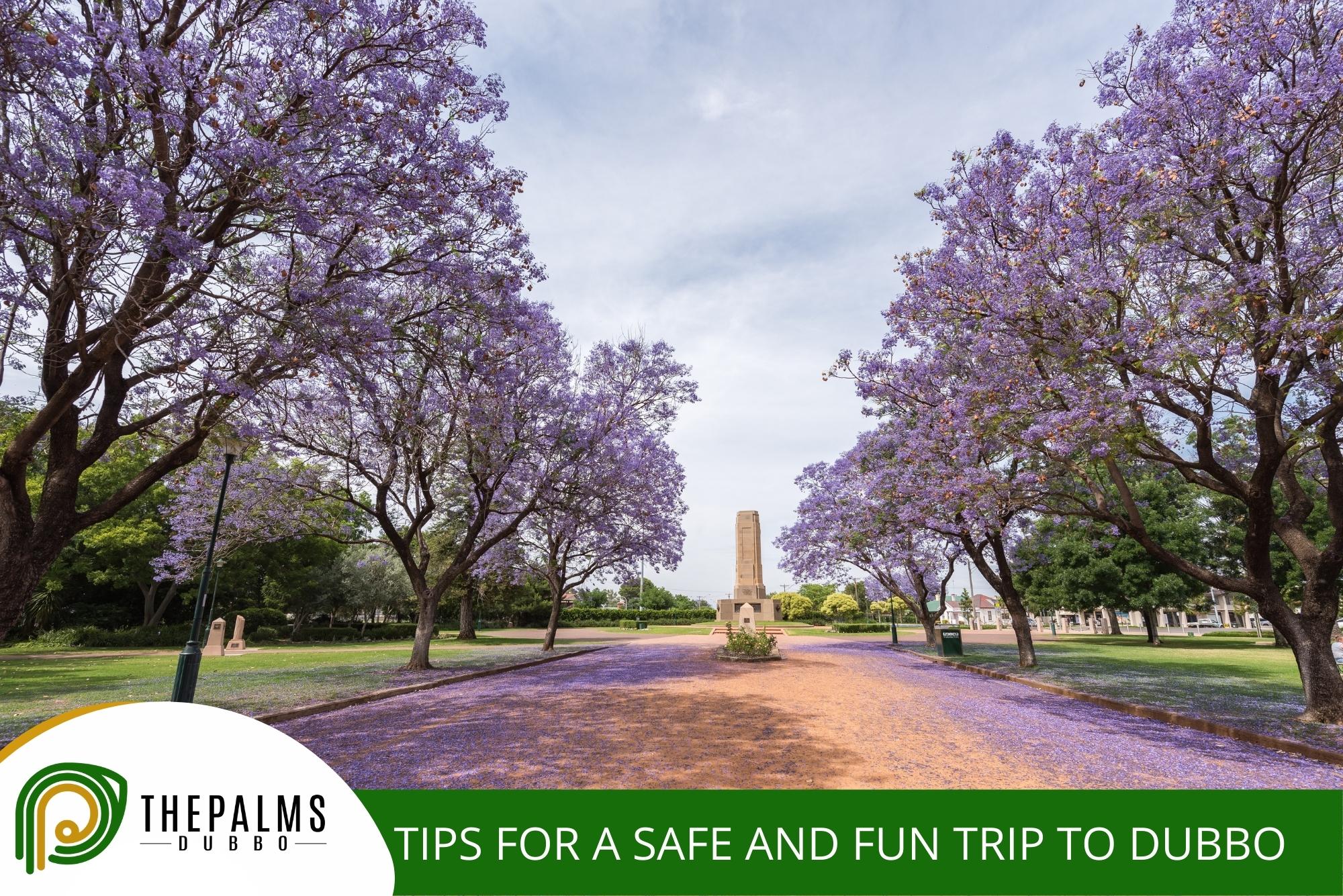 Blog - blog,The Palms Motel Dubbo,Motel Dubbo Tips for a Safe and Fun Trip to Dubbo