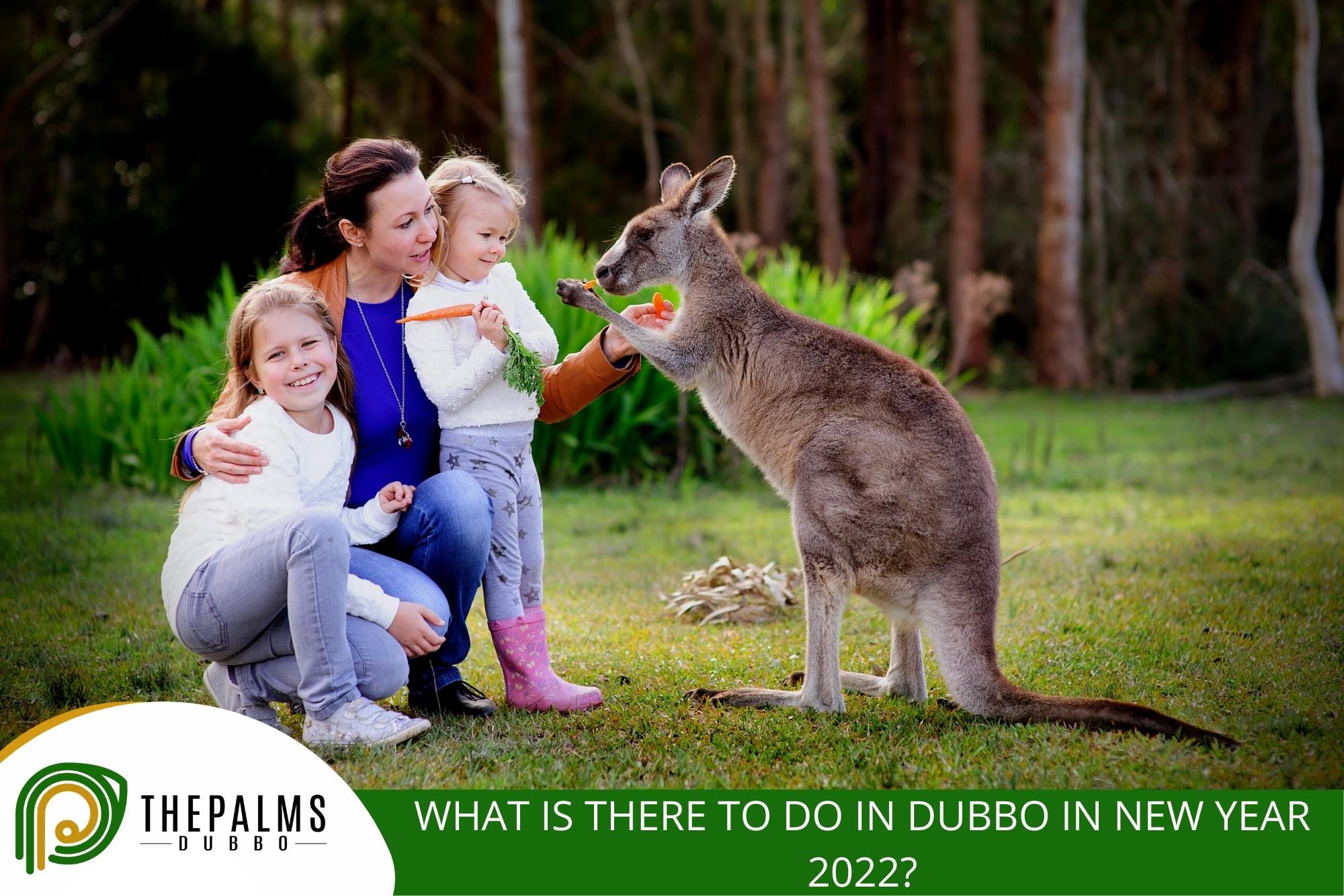 Blog - blog,The Palms Motel Dubbo,Motel Dubbo What is There to Do in Dubbo In New Year 2022