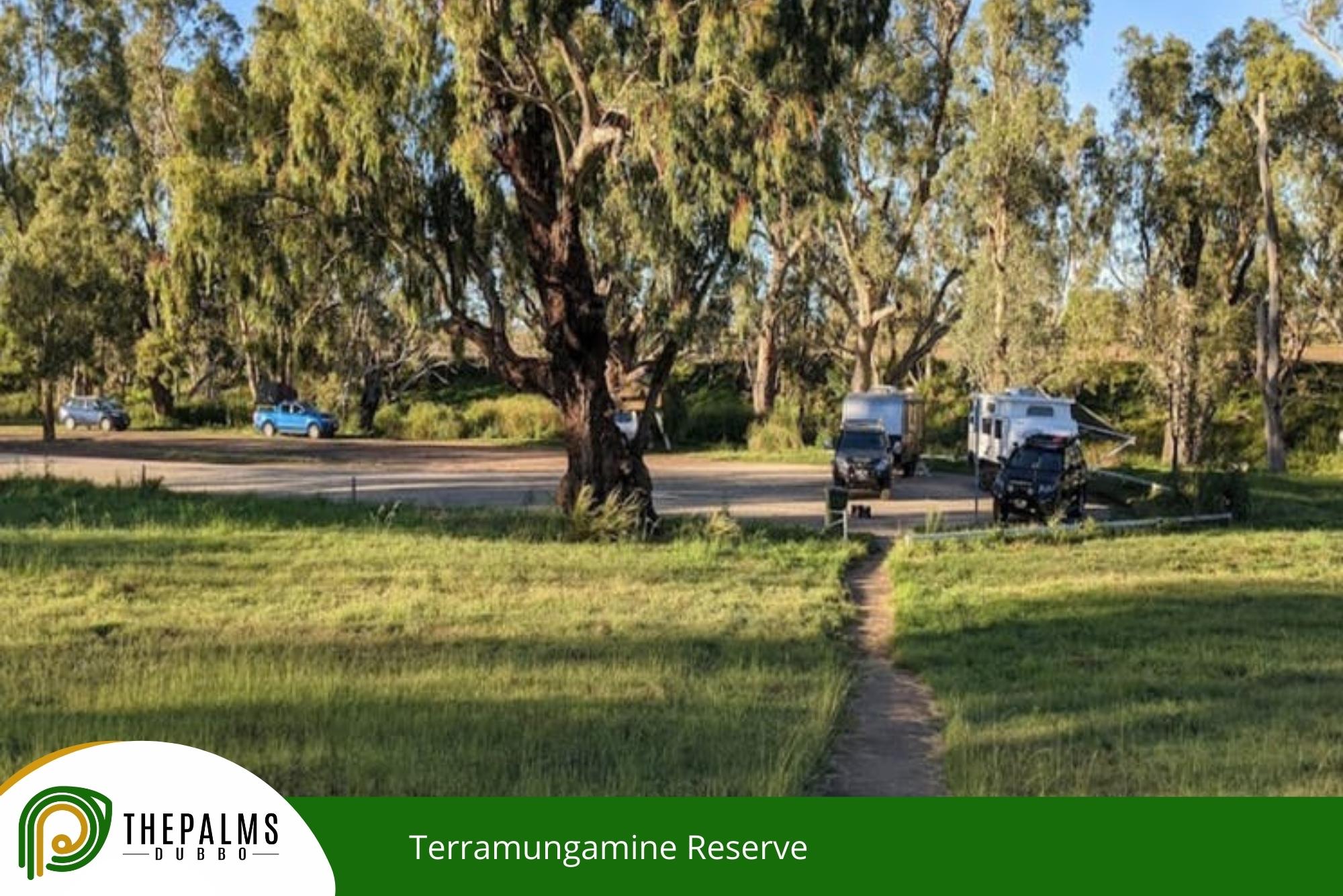 Terramungamine Reserve