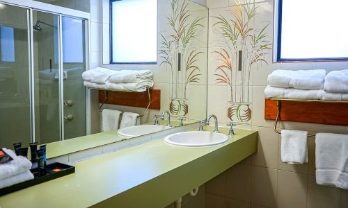 Standard Queen Room Accommodation - The Palms Motel Dubbo